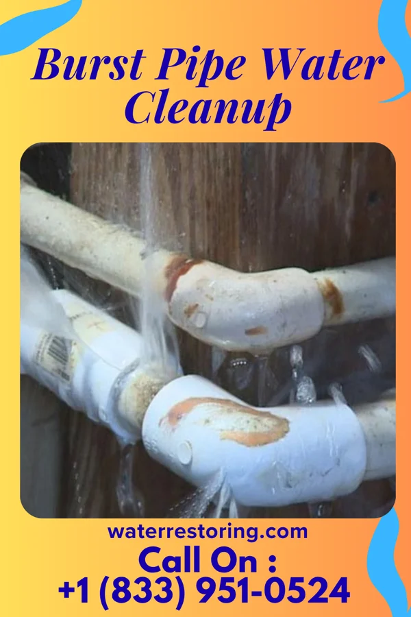 Burst Pipe Water Cleanup in Goose Creek, SC