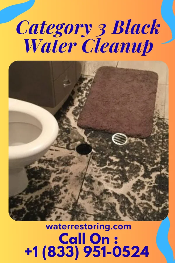 Category 3 Black Water Cleanup in Goose Creek, SC
