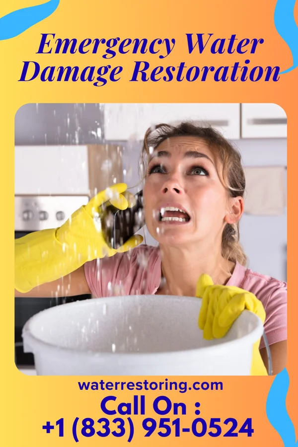 Emergency Water Damage Restoration in Goose Creek, SC