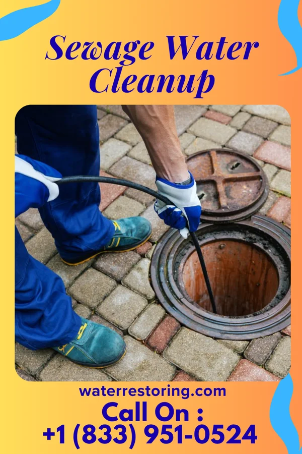 Sewage Water Cleanup in Goose Creek, SC